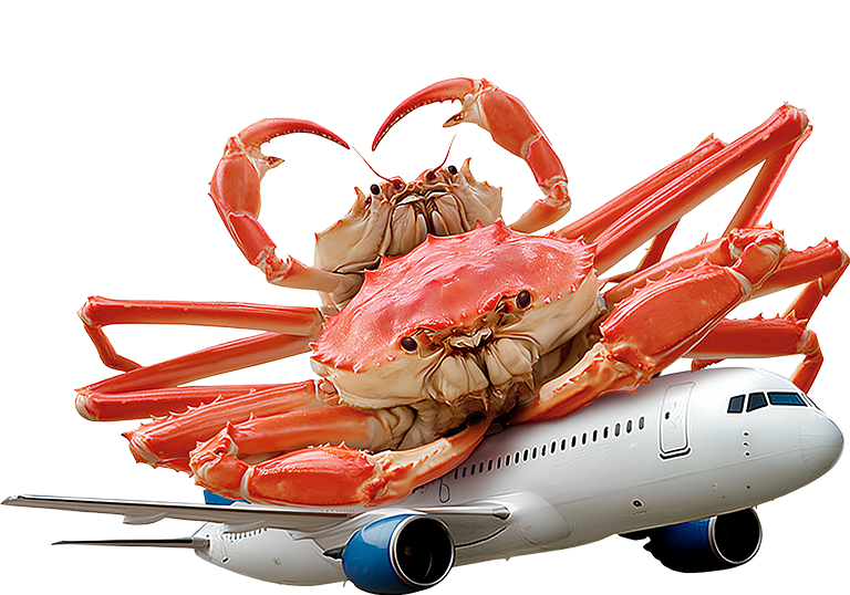 這裡有一張圖片