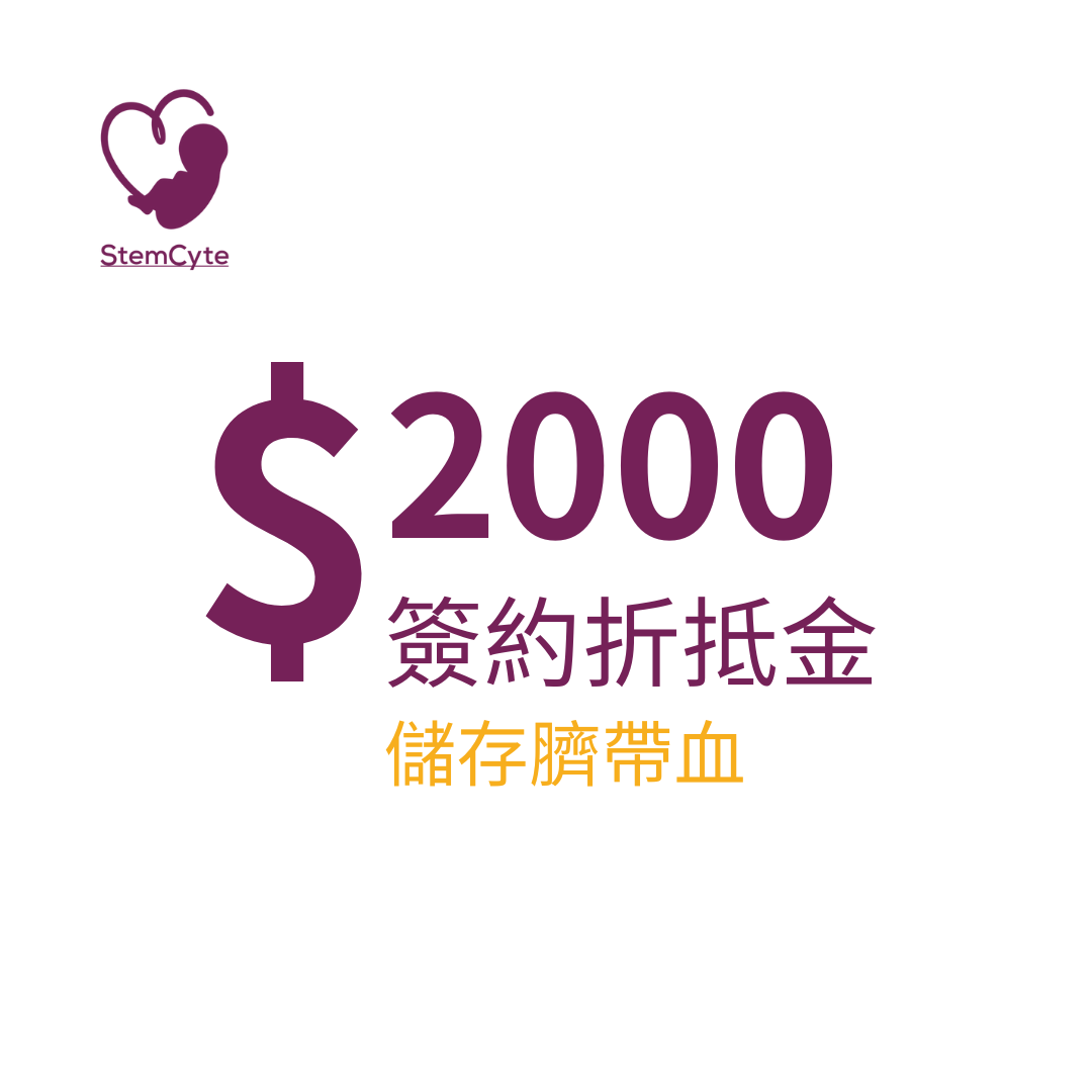 這裡有一張圖片