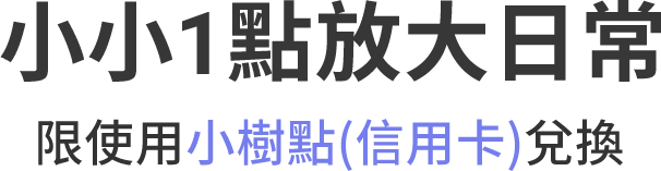 這裡有一張圖片